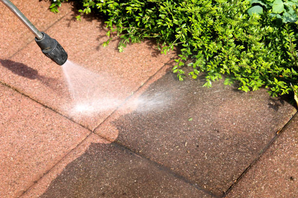 Best Exterior Home Cleaning  in Herscher, IL